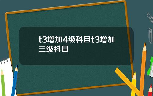 t3增加4级科目t3增加三级科目