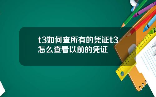 t3如何查所有的凭证t3怎么查看以前的凭证