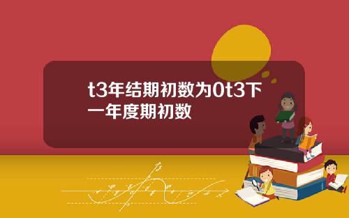 t3年结期初数为0t3下一年度期初数