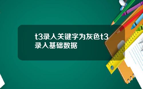 t3录入关键字为灰色t3录入基础数据