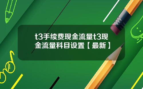 t3手续费现金流量t3现金流量科目设置【最新】