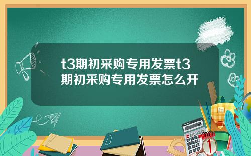 t3期初采购专用发票t3期初采购专用发票怎么开