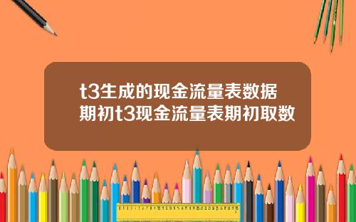 t3生成的现金流量表数据期初t3现金流量表期初取数