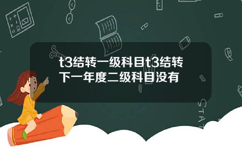 t3结转一级科目t3结转下一年度二级科目没有