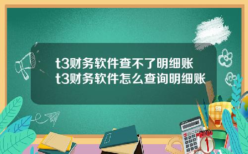 t3财务软件查不了明细账t3财务软件怎么查询明细账