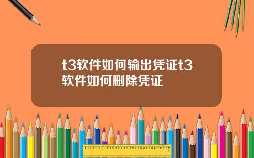 t3软件如何输出凭证t3软件如何删除凭证