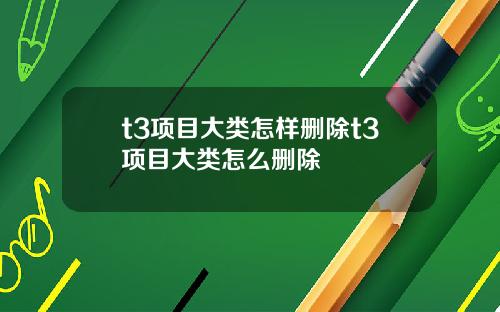 t3项目大类怎样删除t3项目大类怎么删除