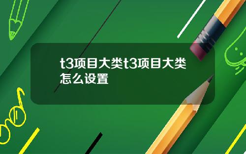 t3项目大类t3项目大类怎么设置