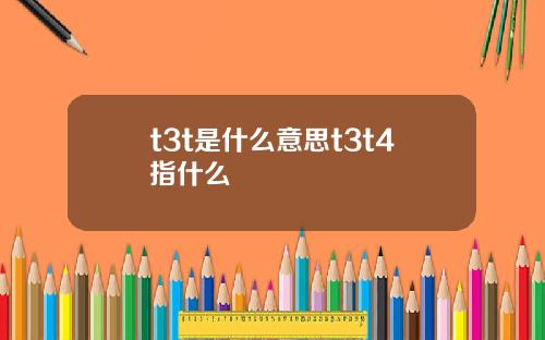 t3t是什么意思t3t4指什么