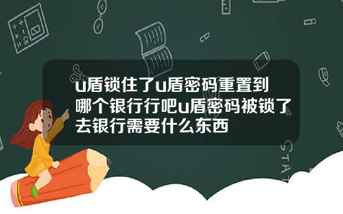 u盾锁住了u盾密码重置到哪个银行行吧u盾密码被锁了去银行需要什么东西