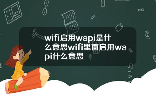 wifi启用wapi是什么意思wifi里面启用wapi什么意思