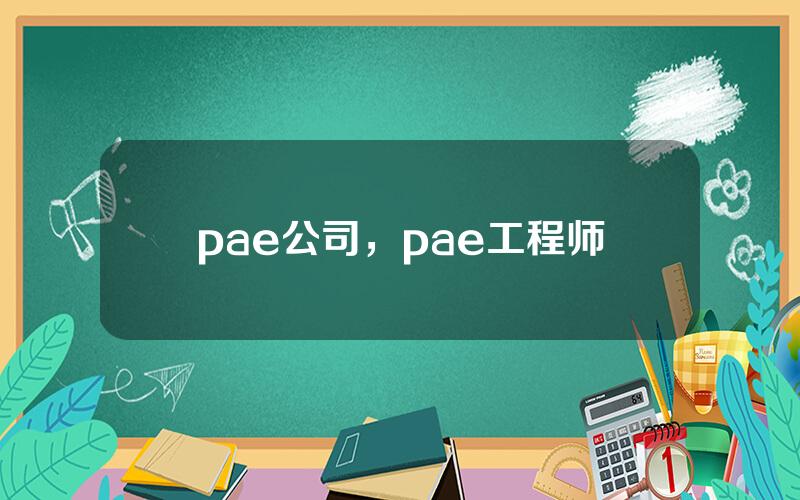 pae公司，pae工程师