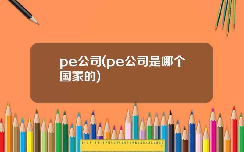 pe公司(pe公司是哪个国家的)