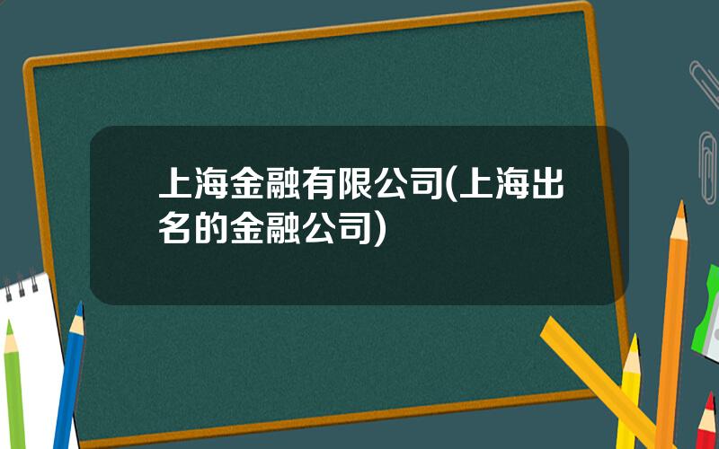 上海金融有限公司(上海出名的金融公司)