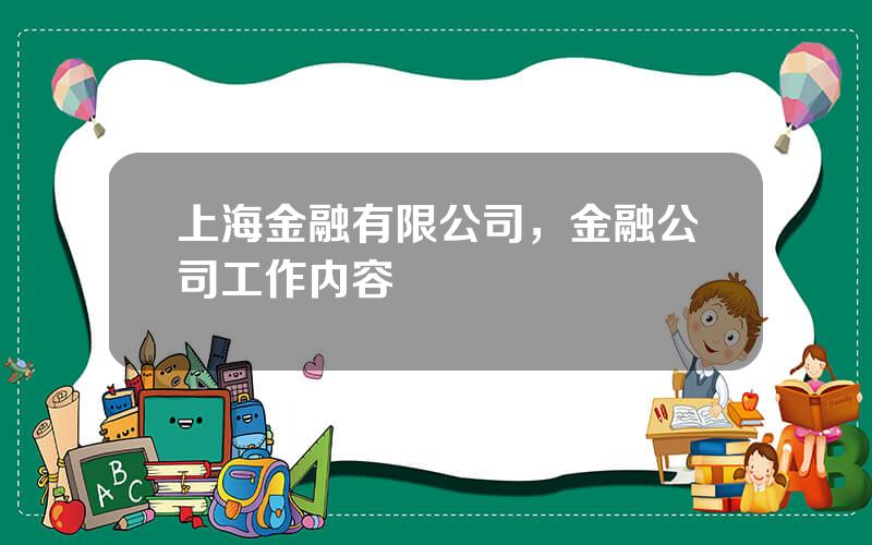 上海金融有限公司，金融公司工作内容