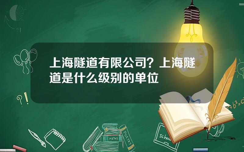 上海隧道有限公司？上海隧道是什么级别的单位