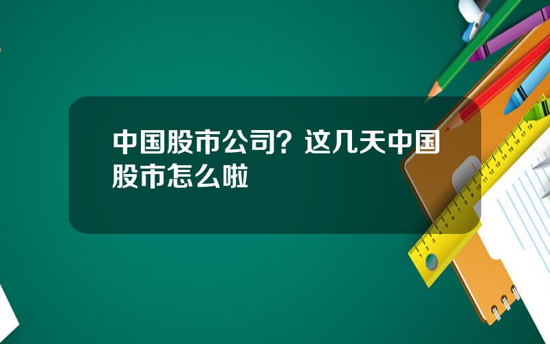 中国股市公司？这几天中国股市怎么啦