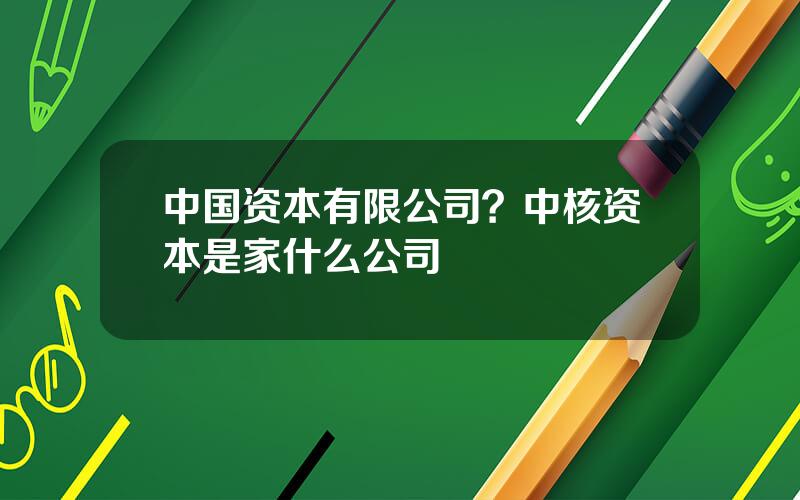 中国资本有限公司？中核资本是家什么公司