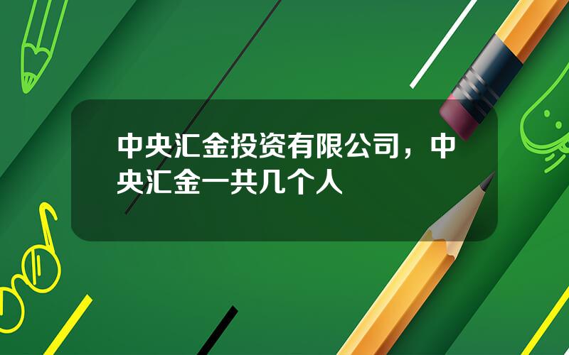 中央汇金投资有限公司，中央汇金一共几个人