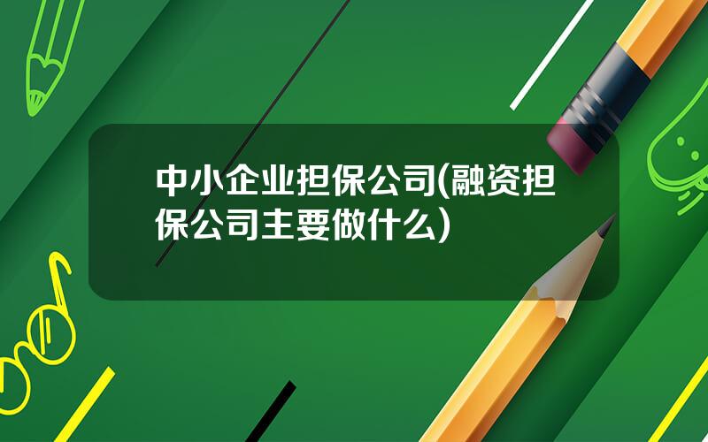 中小企业担保公司(融资担保公司主要做什么)