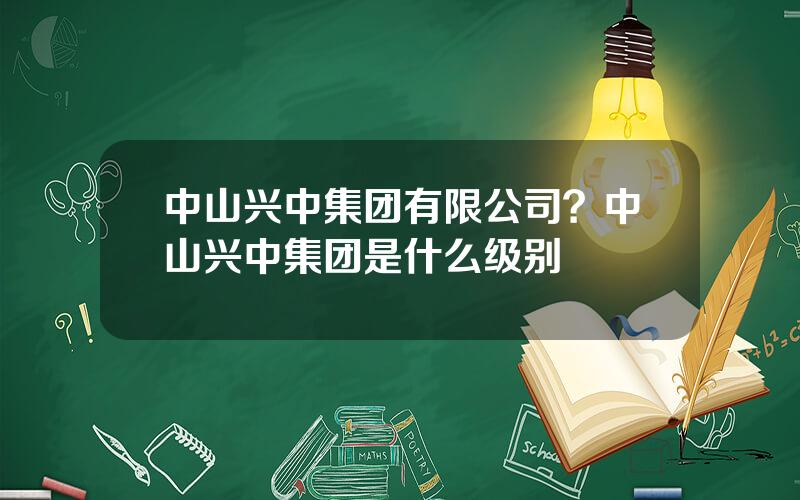 中山兴中集团有限公司？中山兴中集团是什么级别