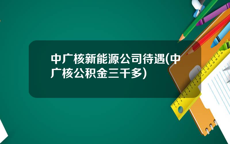 中广核新能源公司待遇(中广核公积金三千多)