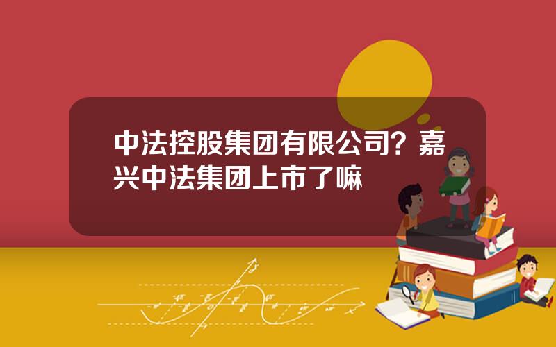 中法控股集团有限公司？嘉兴中法集团上市了嘛