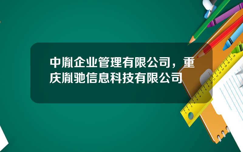 中胤企业管理有限公司，重庆胤驰信息科技有限公司