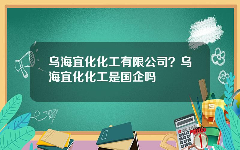 乌海宜化化工有限公司？乌海宜化化工是国企吗