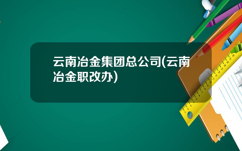 云南冶金集团总公司(云南冶金职改办)