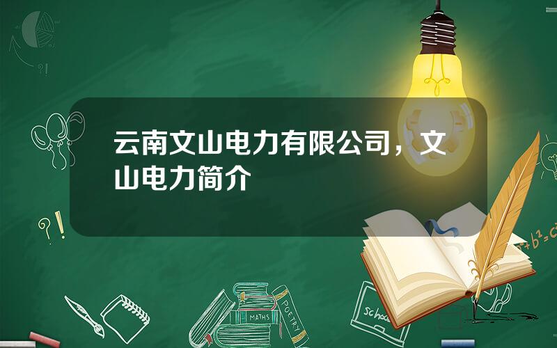 云南文山电力有限公司，文山电力简介