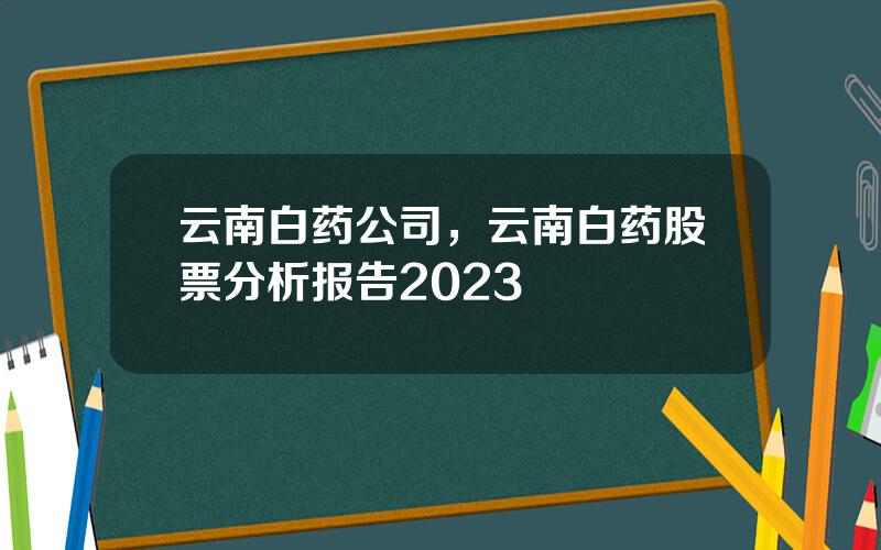 云南白药公司，云南白药股票分析报告2023