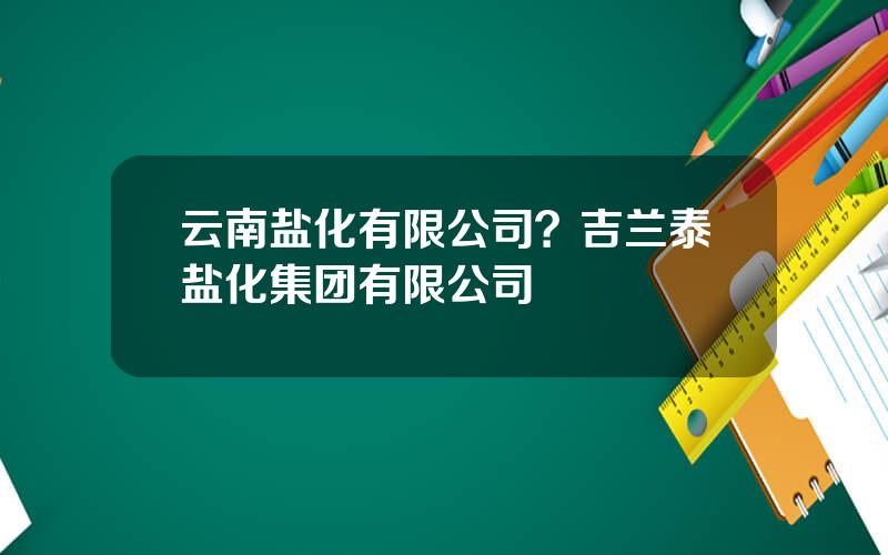 云南盐化有限公司？吉兰泰盐化集团有限公司