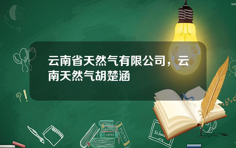 云南省天然气有限公司，云南天然气胡楚涵