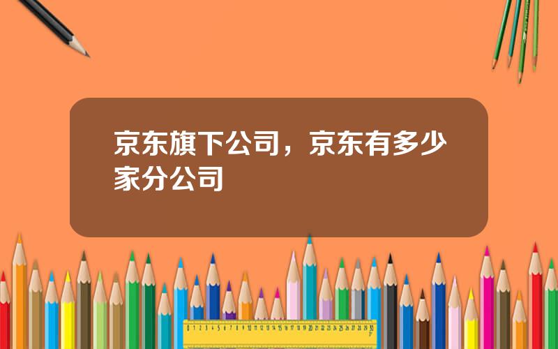 京东旗下公司，京东有多少家分公司