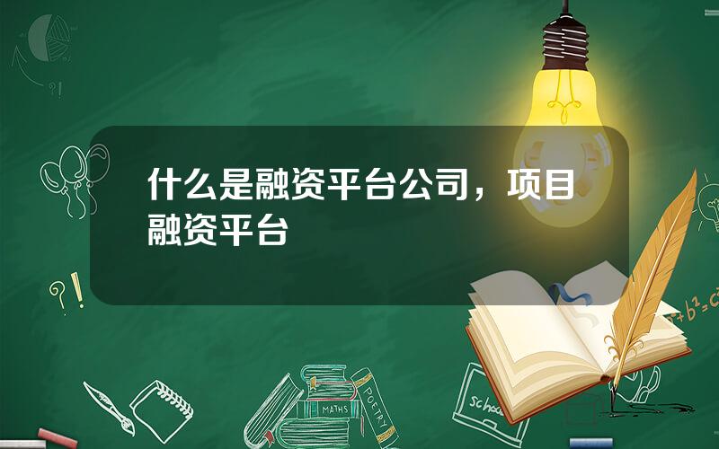 什么是融资平台公司，项目融资平台