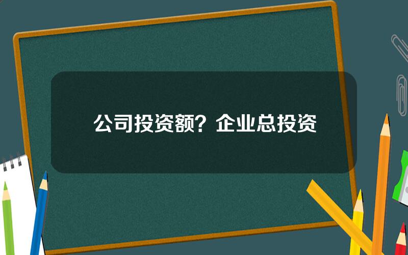 公司投资额？企业总投资