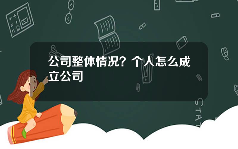 公司整体情况？个人怎么成立公司