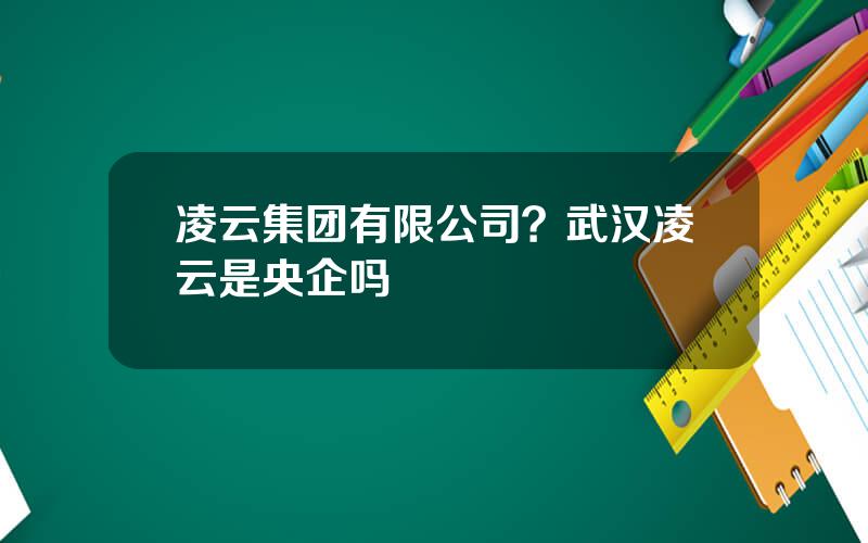 凌云集团有限公司？武汉凌云是央企吗