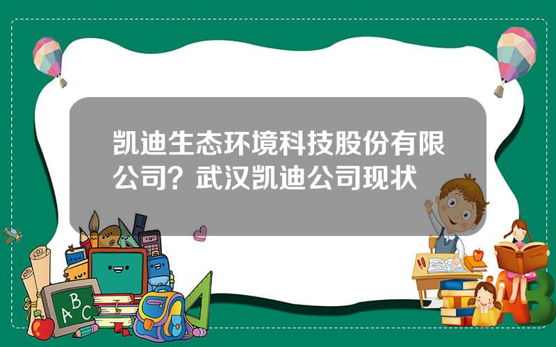 凯迪生态环境科技股份有限公司？武汉凯迪公司现状