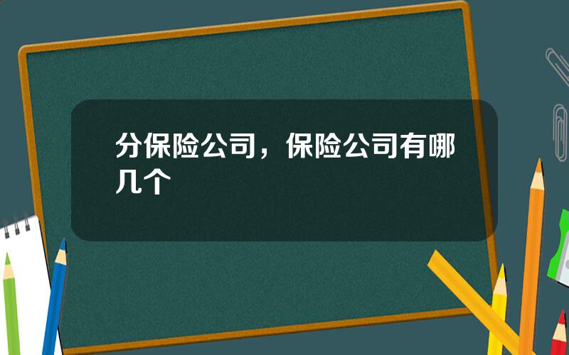 分保险公司，保险公司有哪几个