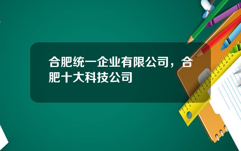 合肥统一企业有限公司，合肥十大科技公司