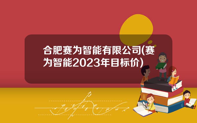 合肥赛为智能有限公司(赛为智能2023年目标价)