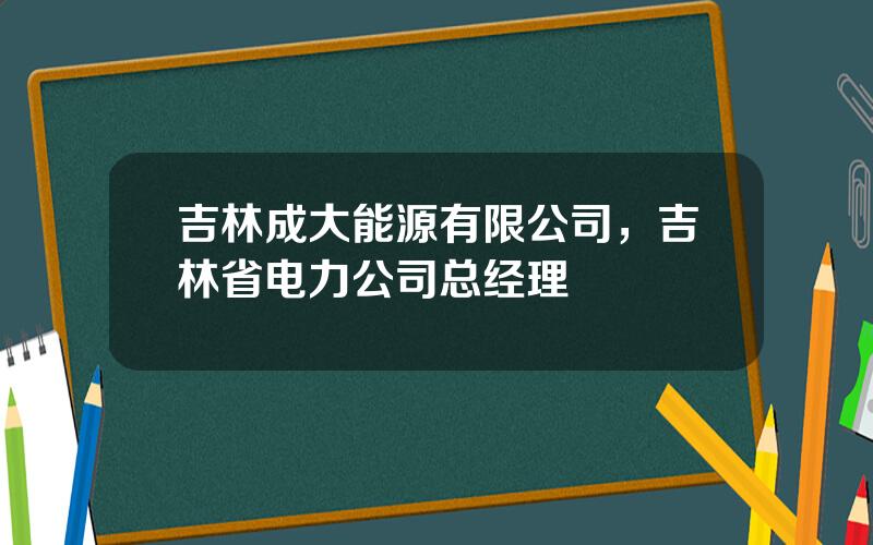 吉林成大能源有限公司，吉林省电力公司总经理