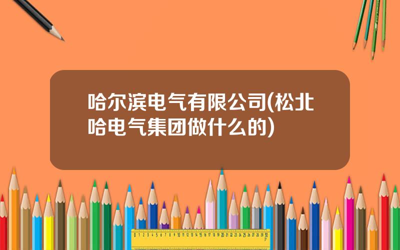 哈尔滨电气有限公司(松北哈电气集团做什么的)