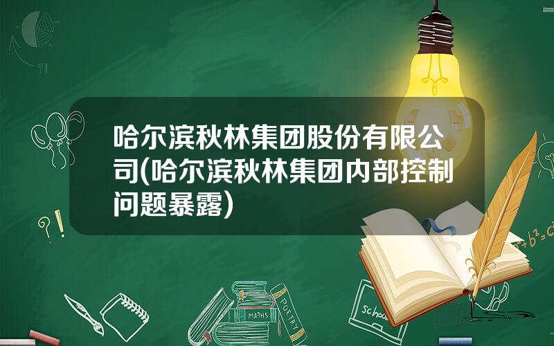 哈尔滨秋林集团股份有限公司(哈尔滨秋林集团内部控制问题暴露)