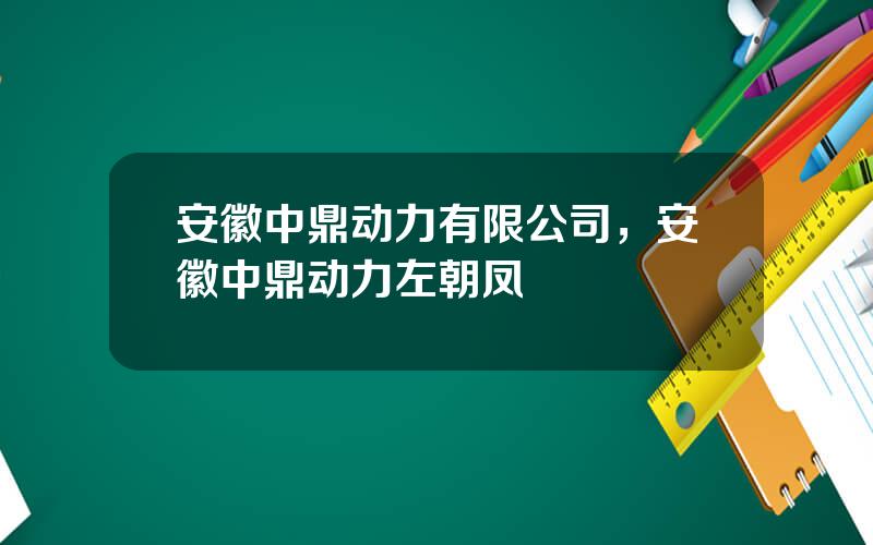 安徽中鼎动力有限公司，安徽中鼎动力左朝凤