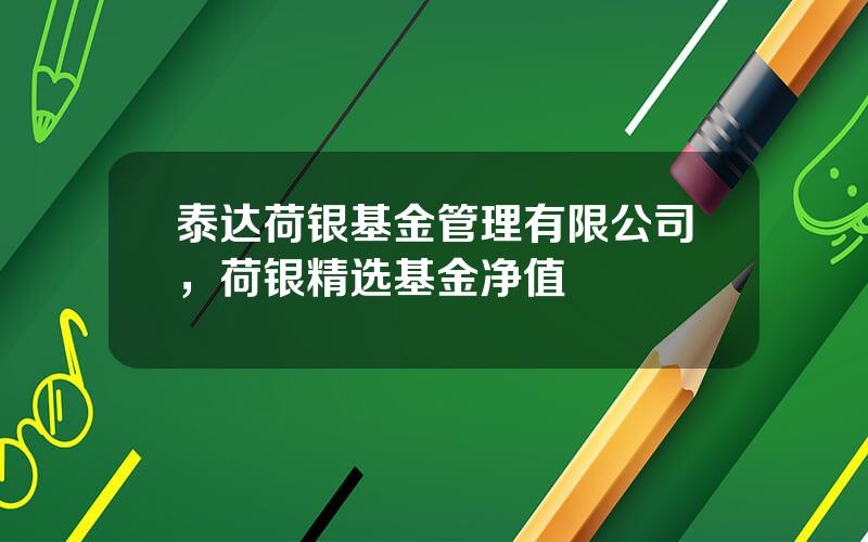 泰达荷银基金管理有限公司，荷银精选基金净值