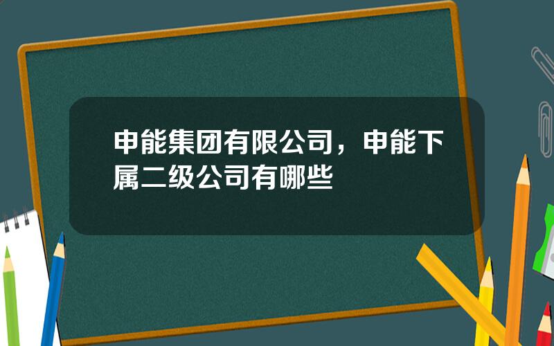 申能集团有限公司，申能下属二级公司有哪些