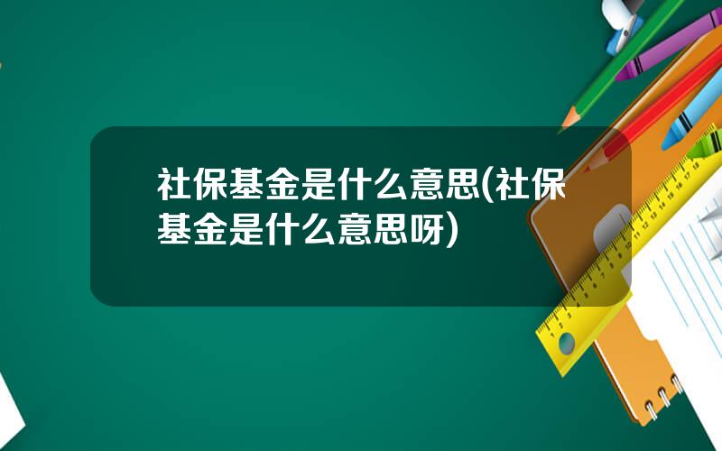 社保基金是什么意思(社保基金是什么意思呀)